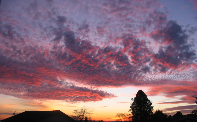 Seattle Sunset in November